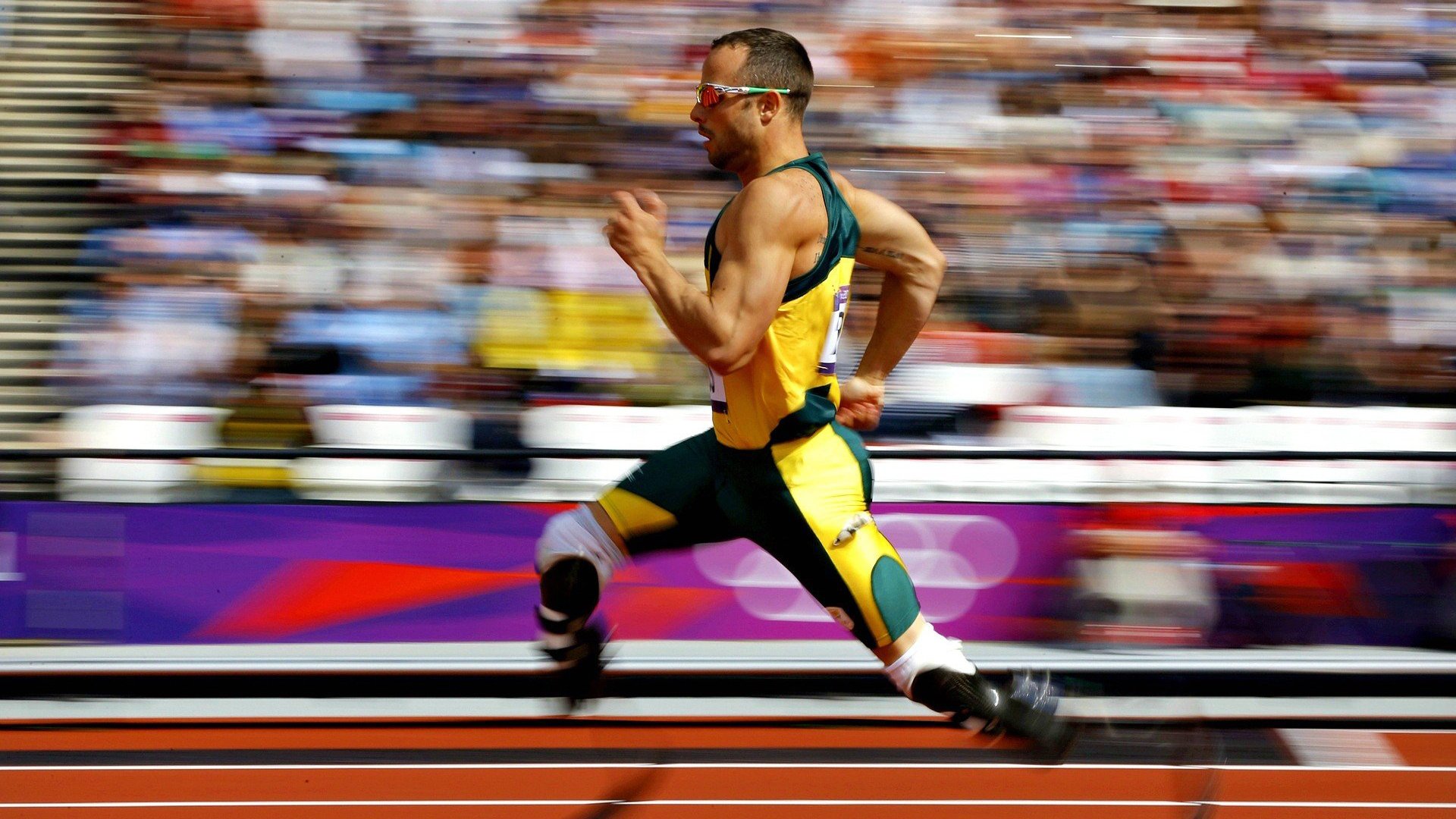 低碳环保场馆建设标准不断提高，践行绿色可持续理念，低碳环保方案